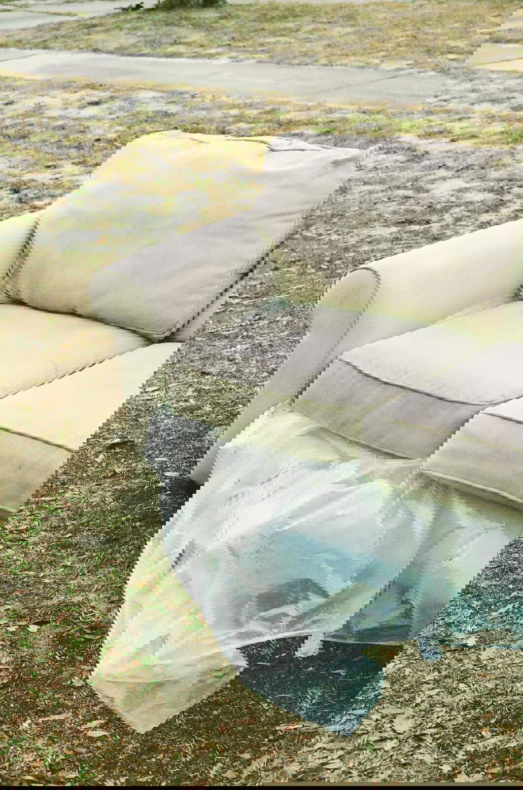 denver junk removal service